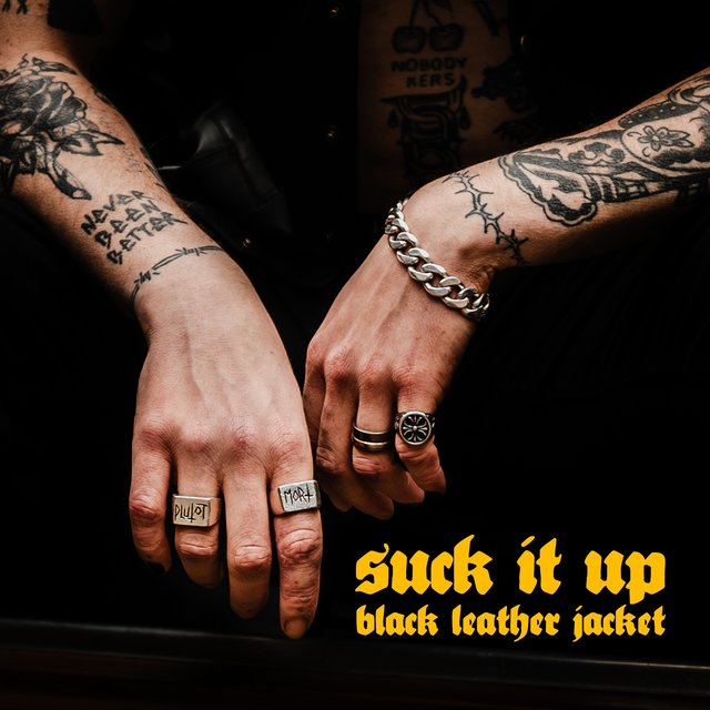 Couverture de Suck It Up