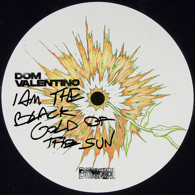 Couverture de I Am The Black Gold Of The Sun