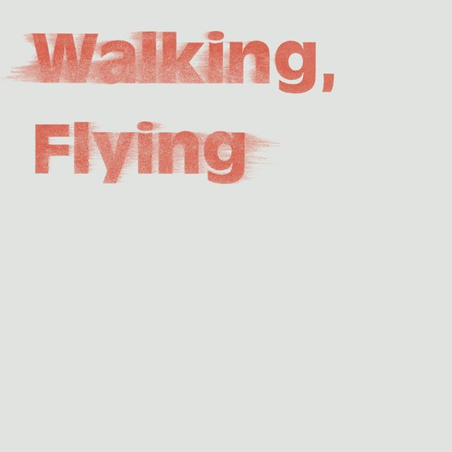 Couverture de Walking, Flying