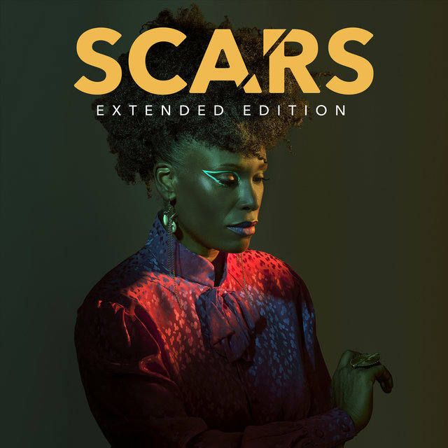 Couverture de Scars