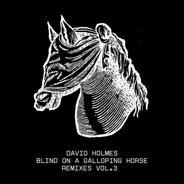 Couverture de Blind On A Galloping Horse Remixes, Vol. 3