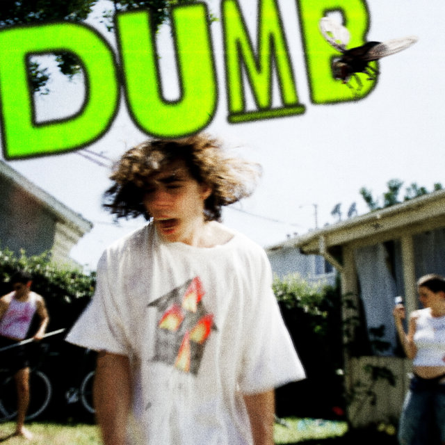 Couverture de DUMB