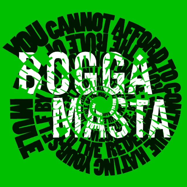 Couverture de Boggamasta