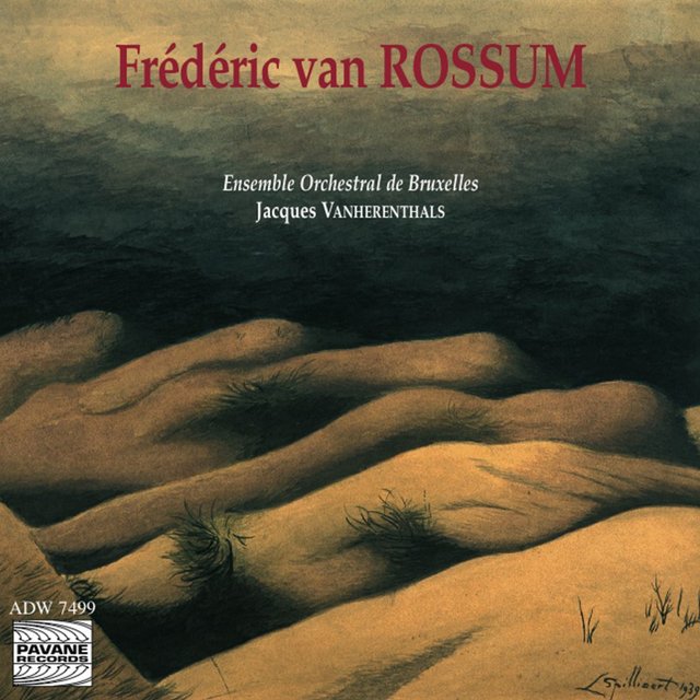 Couverture de Van Rossum: Divertimento, Sinfonietta, Epitaphe,...