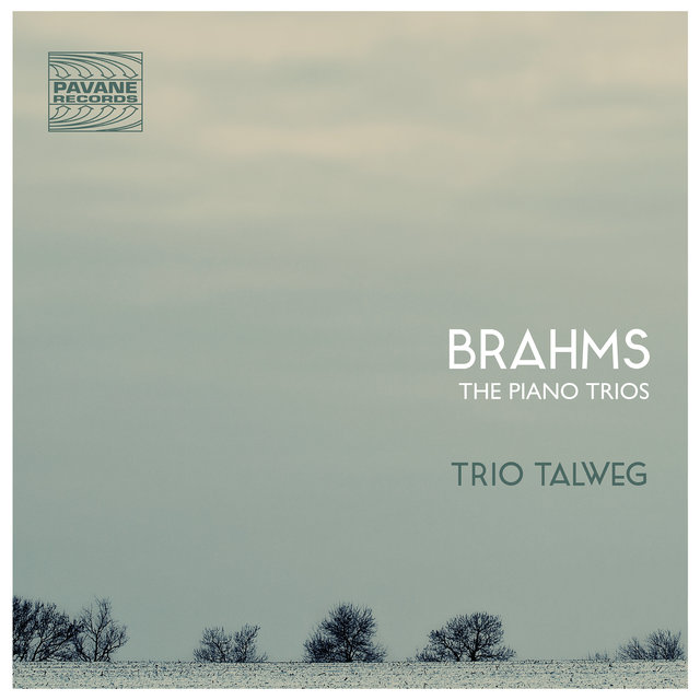 Couverture de Brahms: The Piano Trios