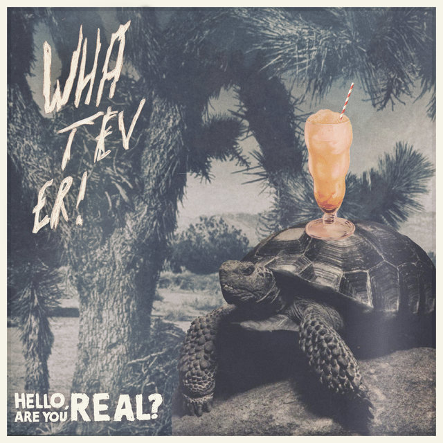 Couverture de Hello, Are You Real ?