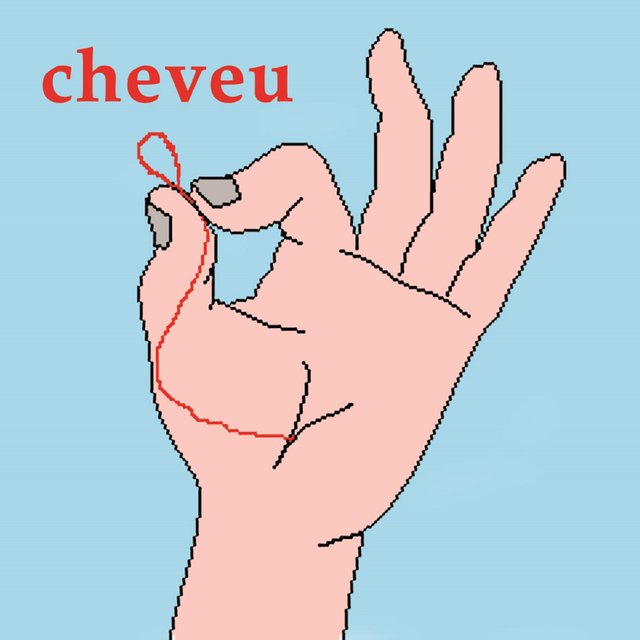 Couverture de Cheveu