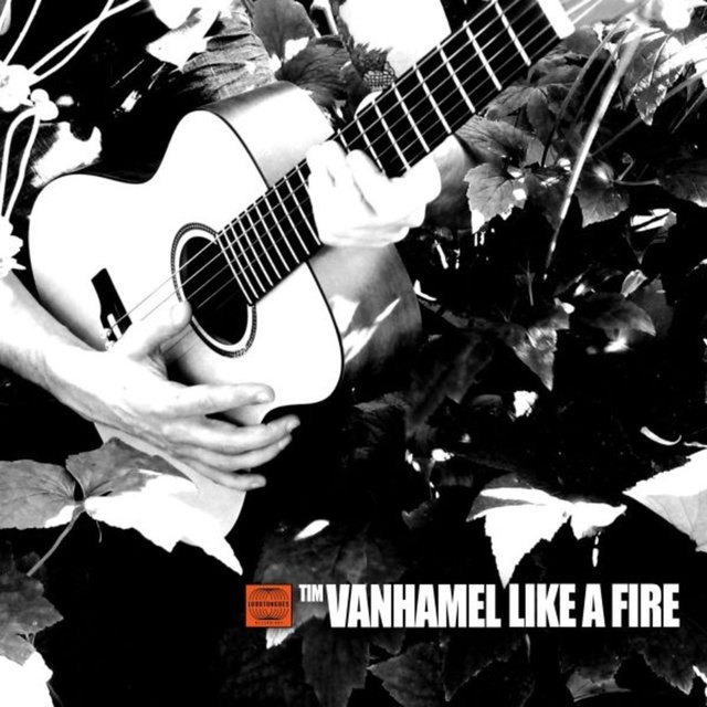 Couverture de Like A Fire