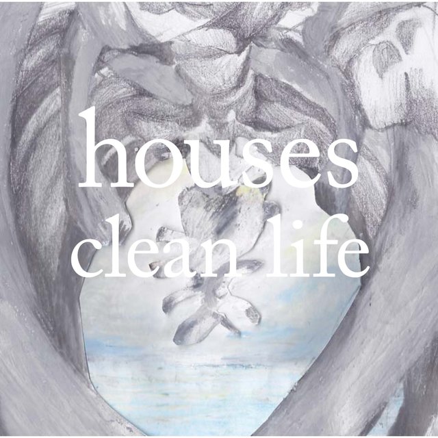 Couverture de Clean Life