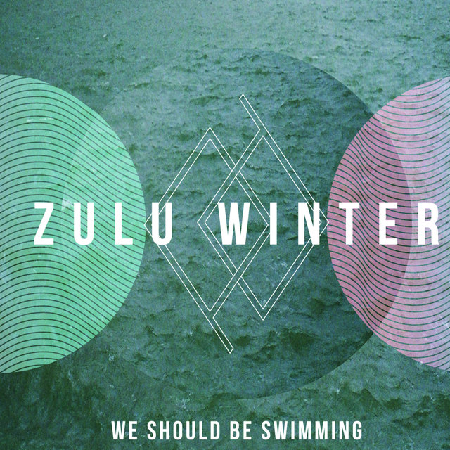 Couverture de We Should Be Swimming