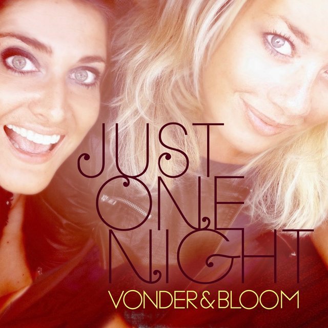 Couverture de Just One Night