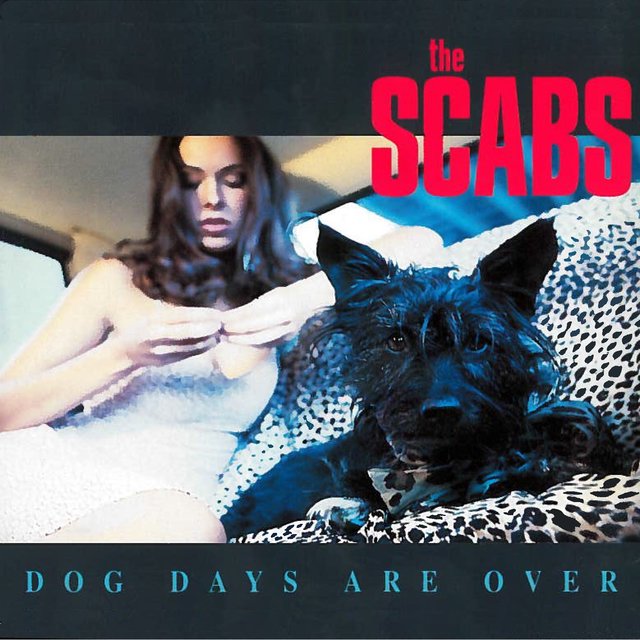 Couverture de Dogs Days Are Over