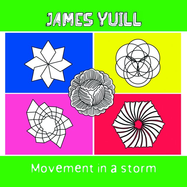 Couverture de Movement in a Storm