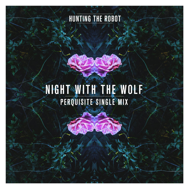 Couverture de Night With the Wolf