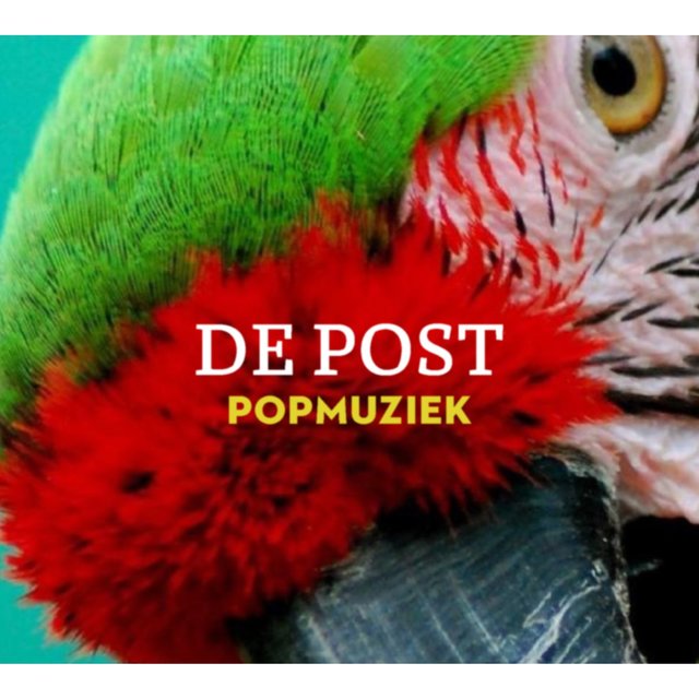 Popmuziek