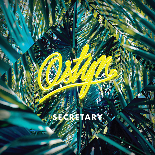 Couverture de Secretary