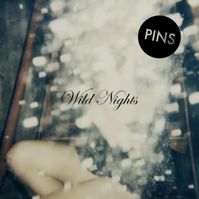 Couverture de Wild Nights