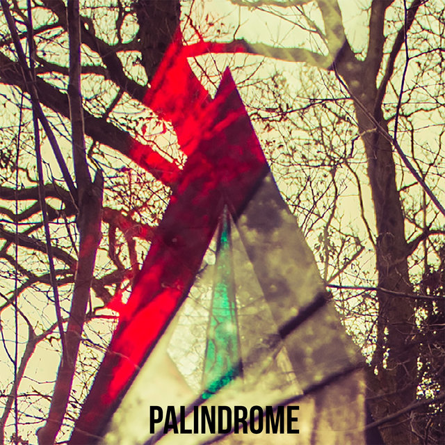 Couverture de Palindrome