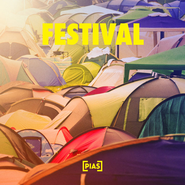 Couverture de Festival