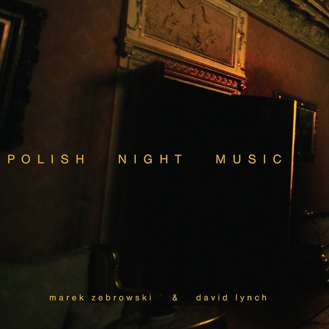 Couverture de Polish Night Music