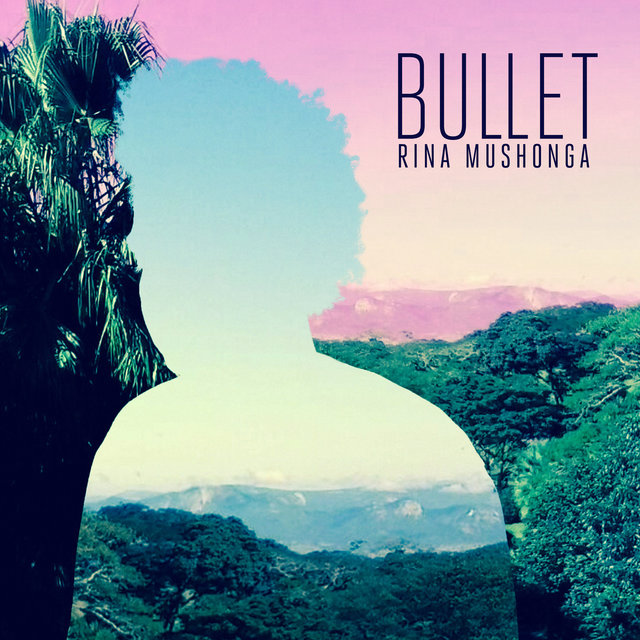 Couverture de Bullet