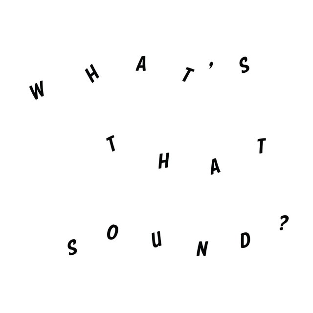 Couverture de What's That Sound?