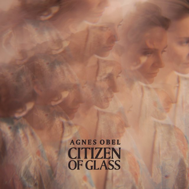 Couverture de Citizen of Glass