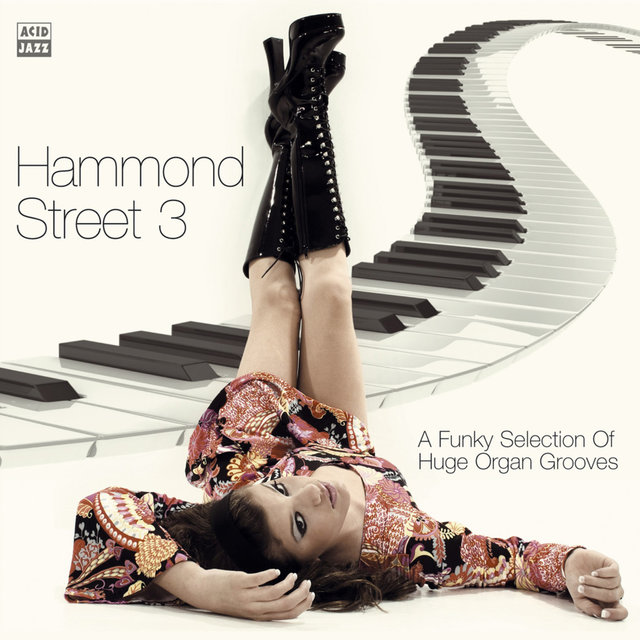 Couverture de Hammond Street 3