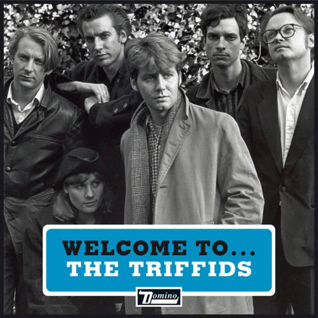 Welcome to the Triffids