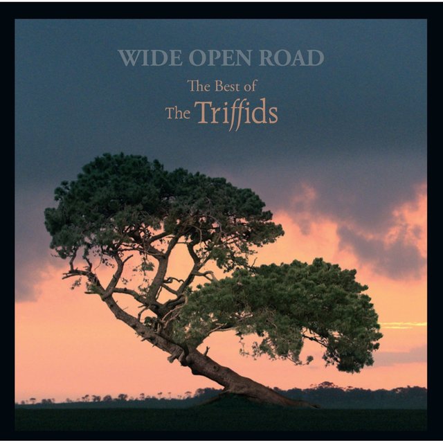 Couverture de Wide Open Road: The Best of the Triffids