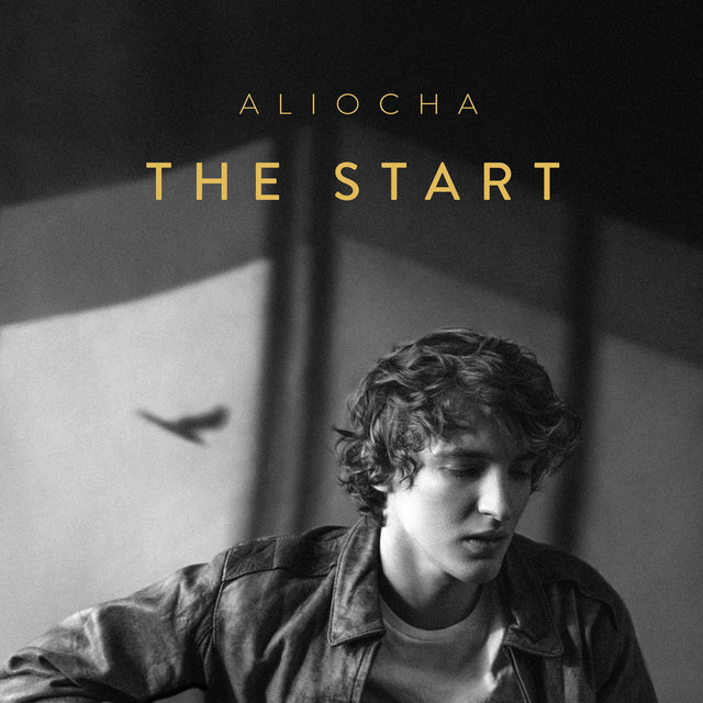 Couverture de The Start