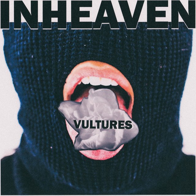 Couverture de Vultures