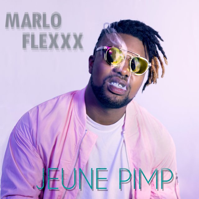 Couverture de Jeune Pimp