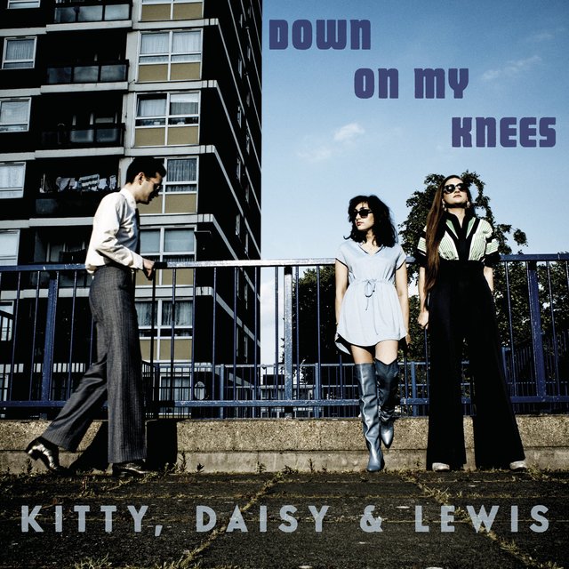 Couverture de Down on My Knees