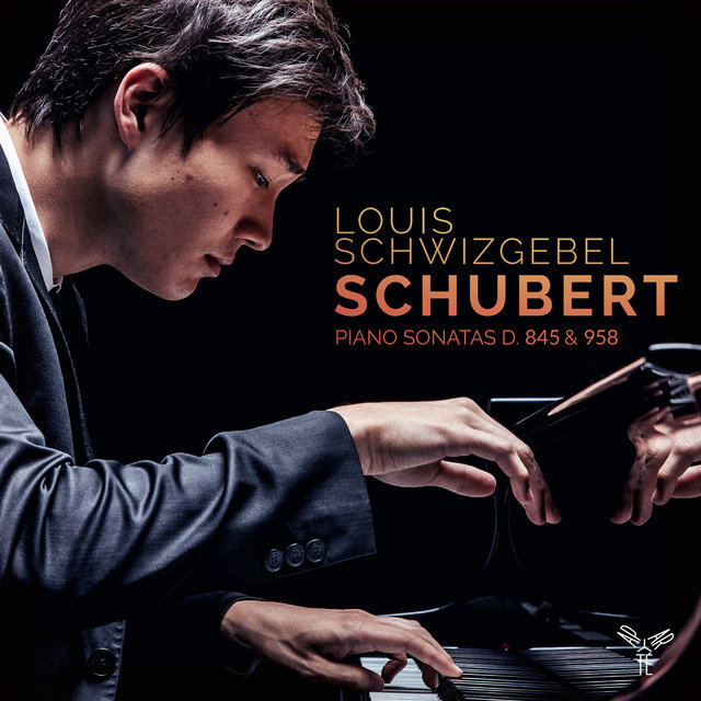 Couverture de Schubert: Piano Sonatas, D. 845 & 958