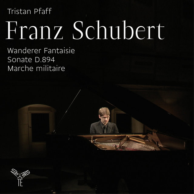 Couverture de Franz Schubert