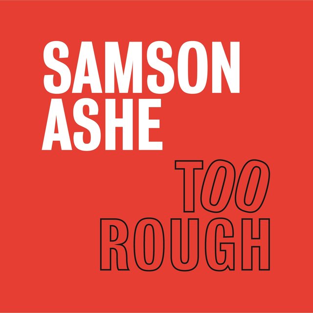 Couverture de Too Rough