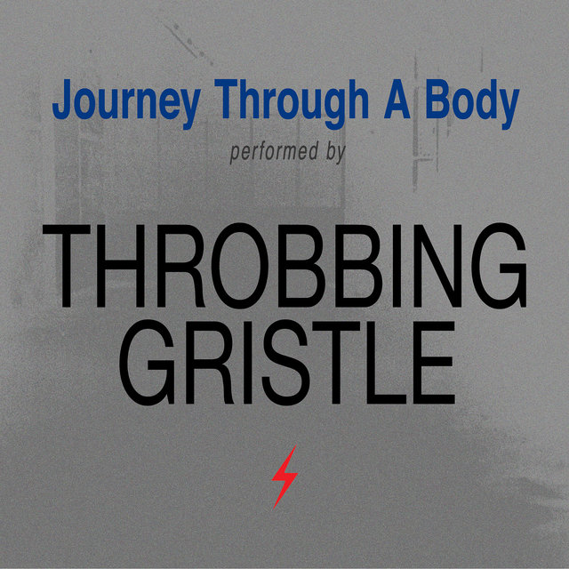 Journey Through A Body