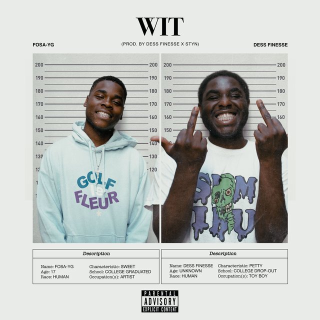 Couverture de WIT