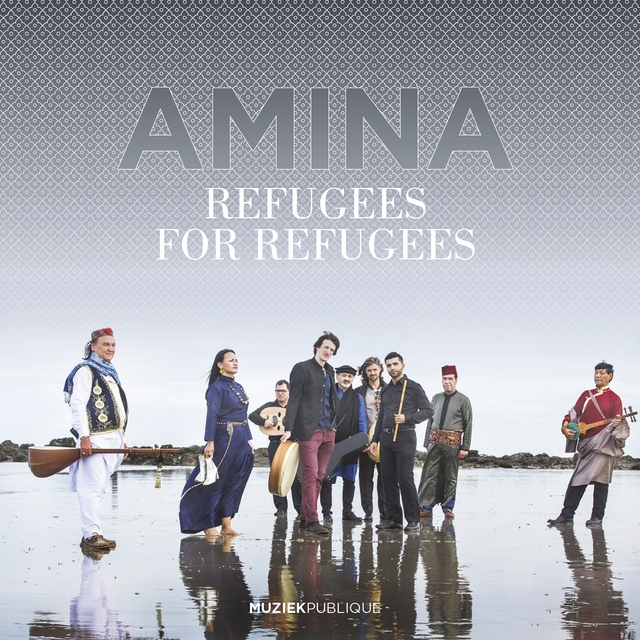 Couverture de Amina