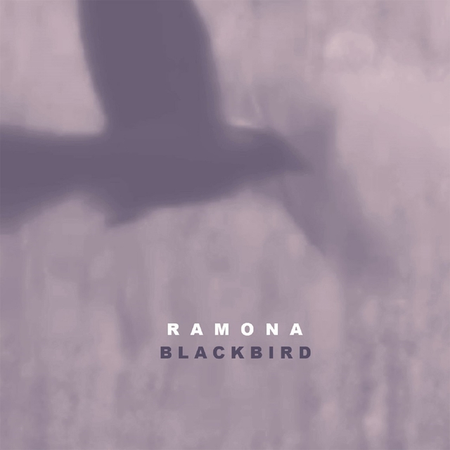 Blackbird