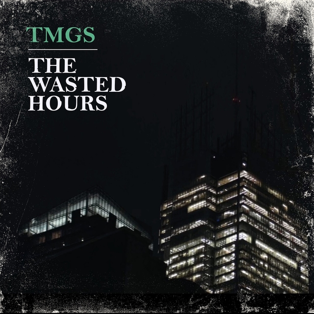 Couverture de The Wasted Hours