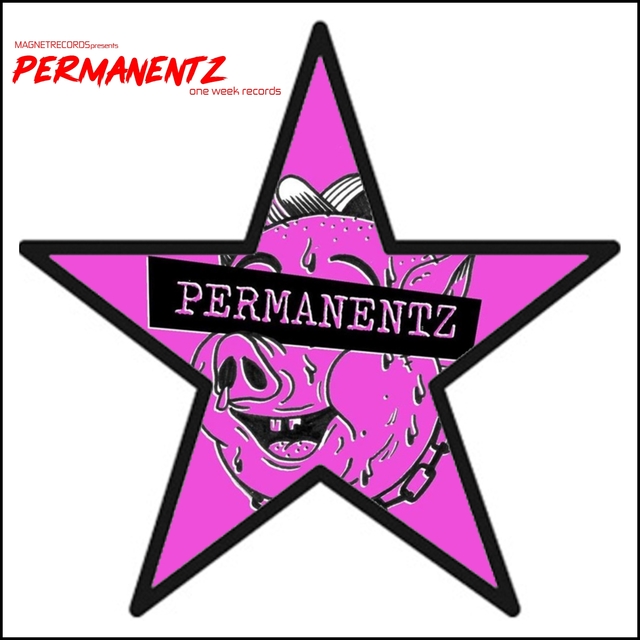 Couverture de Permanentz