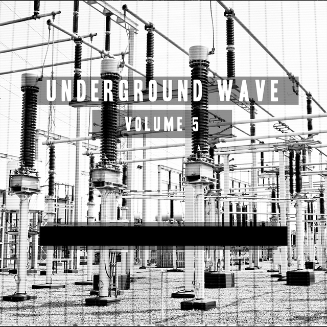 Couverture de Underground Wave, Vol. 5