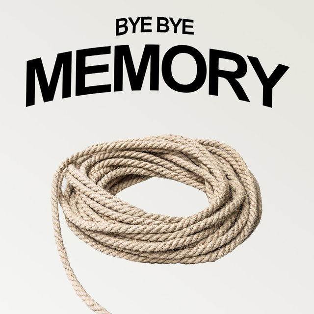 Couverture de Bye bye Memory