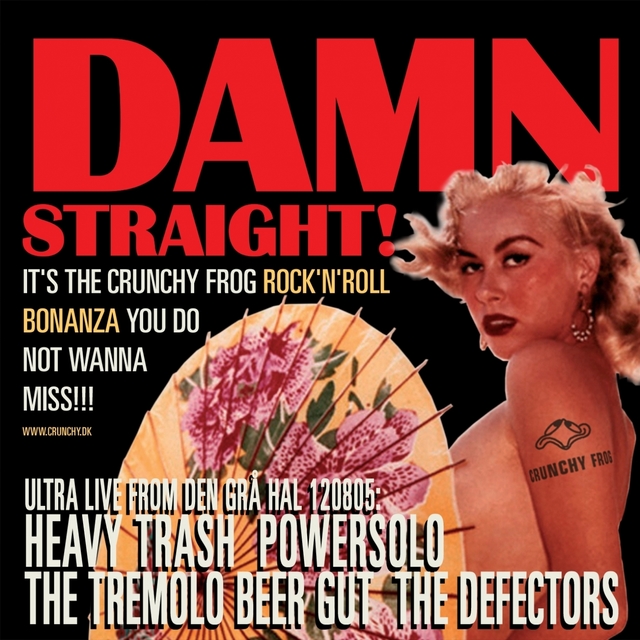 Couverture de DAMN STRAIGHT! - The Crunchy Frog Rock'n'roll Bonanza