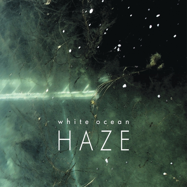 Couverture de Haze