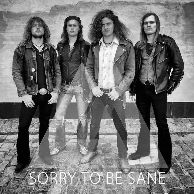 Sorry to Be Sane
