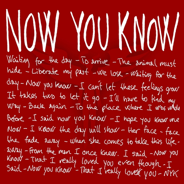 Couverture de Now You Know