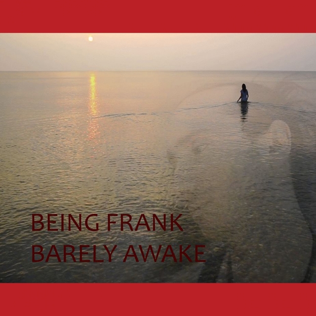 Couverture de Barely Awake